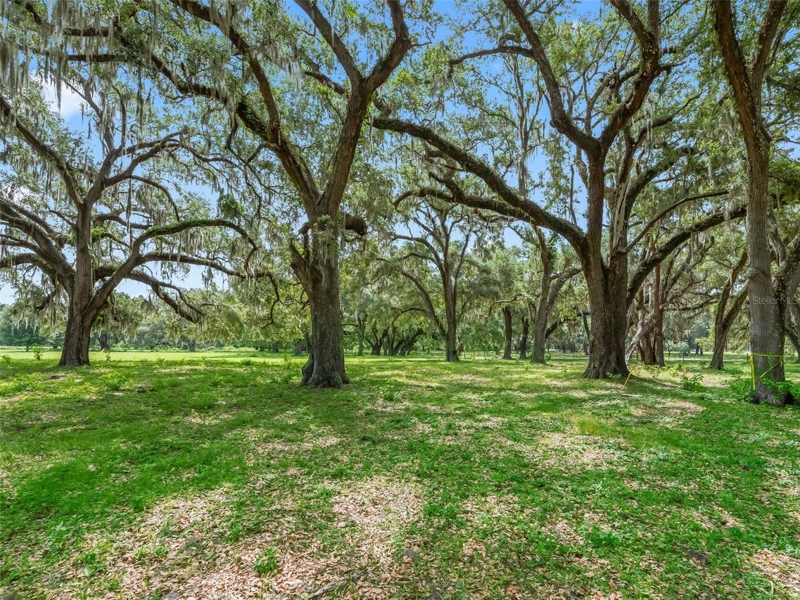 Lot 12 Cr 543, Bushnell, FL 33513