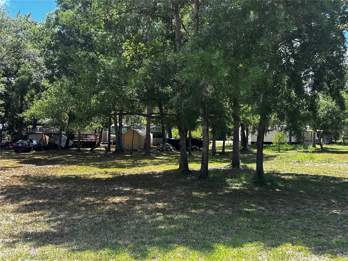 Estelle St, New Port Richey, FL 34654