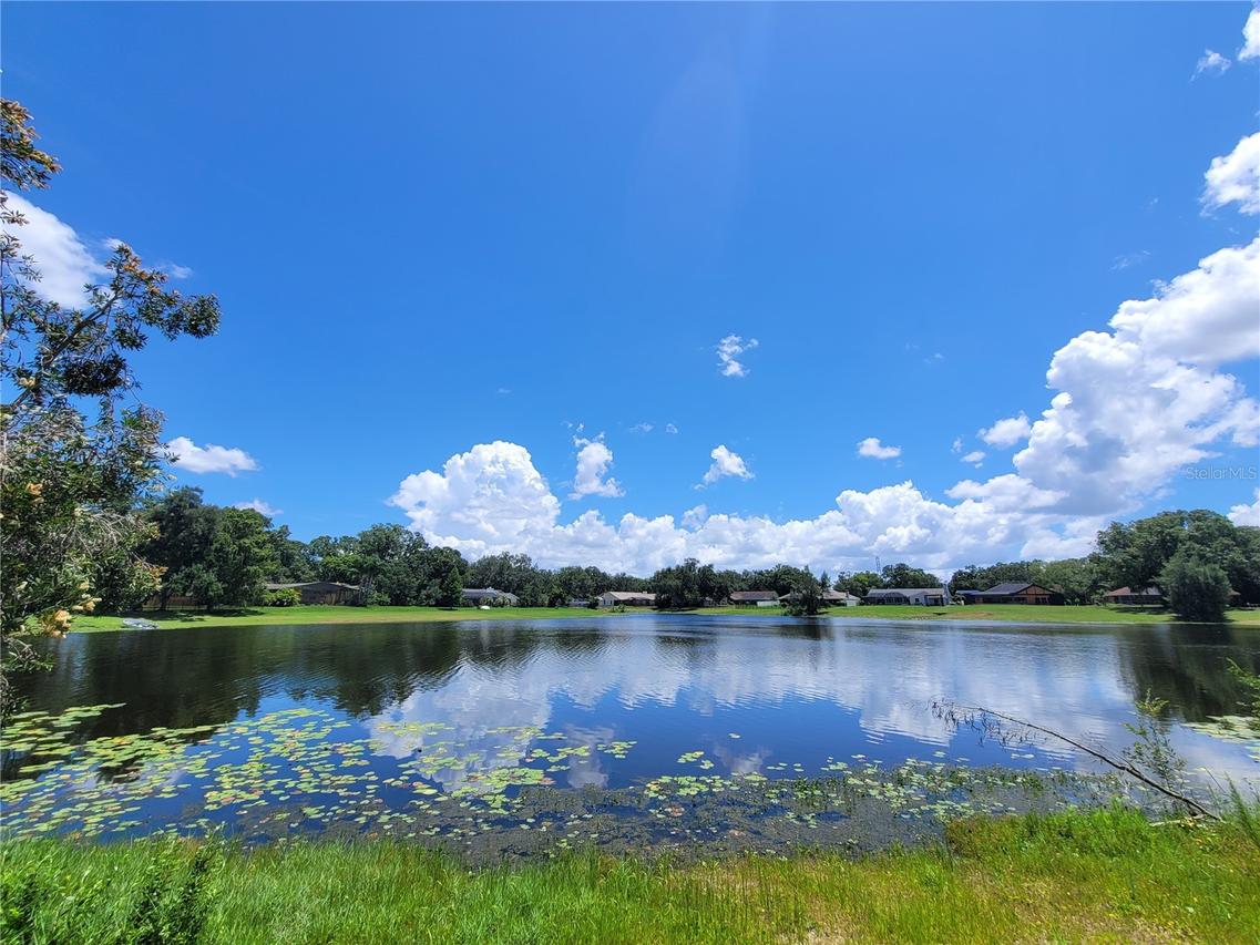 708 Warren Rd., Lutz, FL 33548