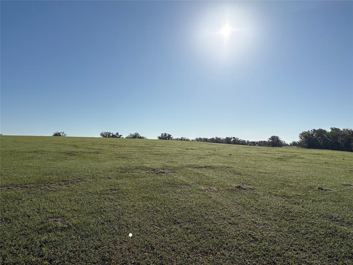 0 Citrus Way (ne Corner Of Citrus Way And Parsons Rd), Brooksville, FL 34601