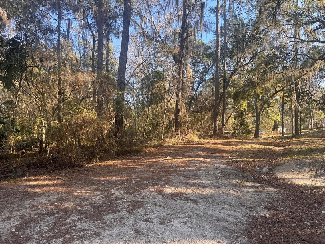 NE 198th Ln., Fort Mc Coy, FL 32134