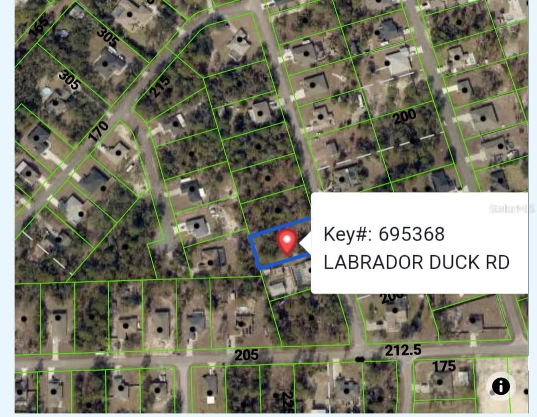 11335 Labrador Duck Rd., Weeki Wachee, FL 34614