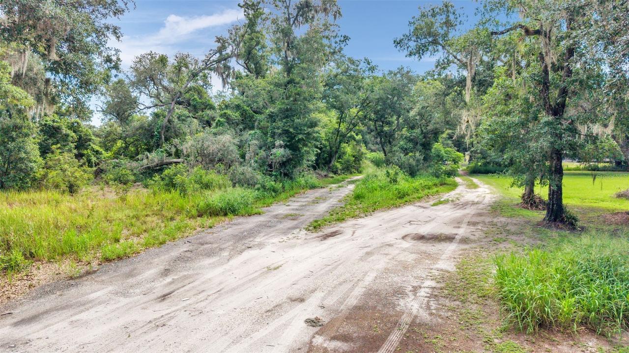 Sydney Washer Rd., Dover, FL 33527