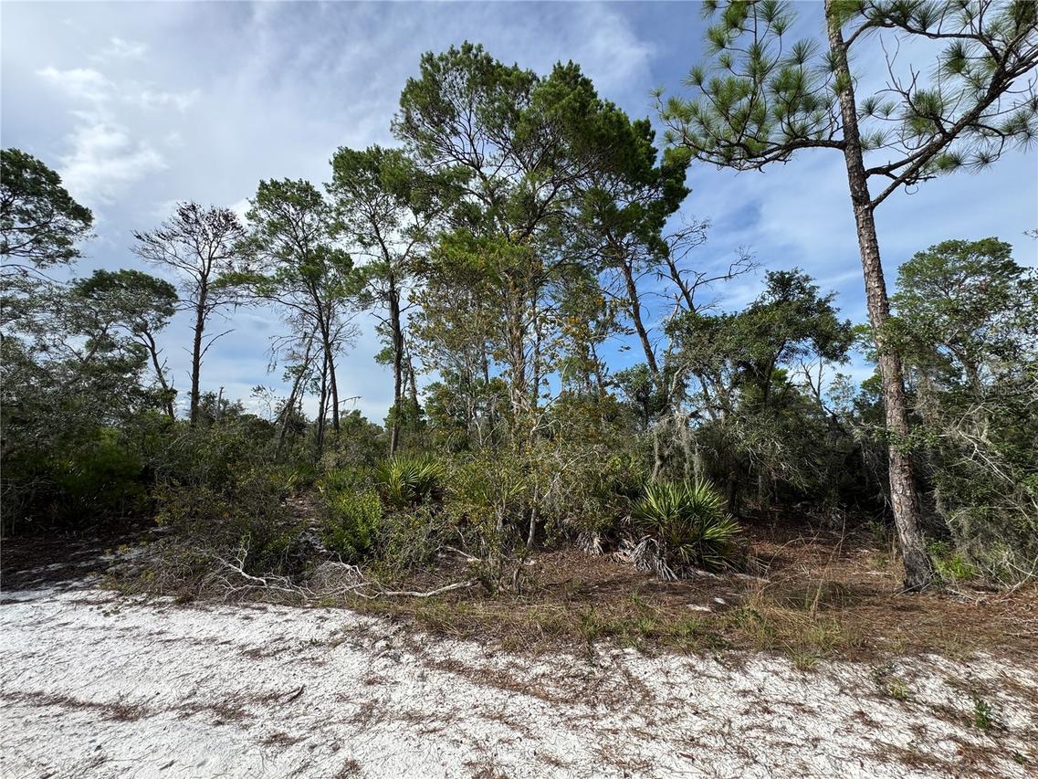 2117 Gardenia Ter., Sebring, FL 33875