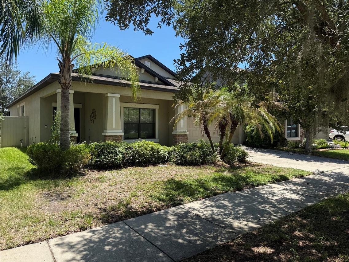 11617 Palmetto Pine St., Riverview, FL 33569