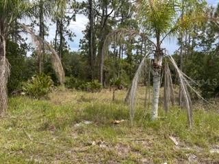 823 Pandora (blk 217 Lot 13) Dr., Indian Lake Estates, FL 33855