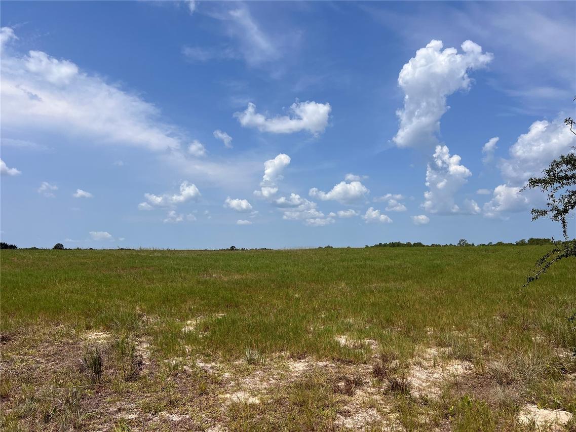 5990 W Oakhill St., Dunnellon, FL 34433