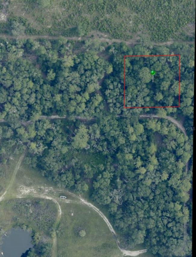 7065 W Rainbow St., Dunnellon, FL 34433