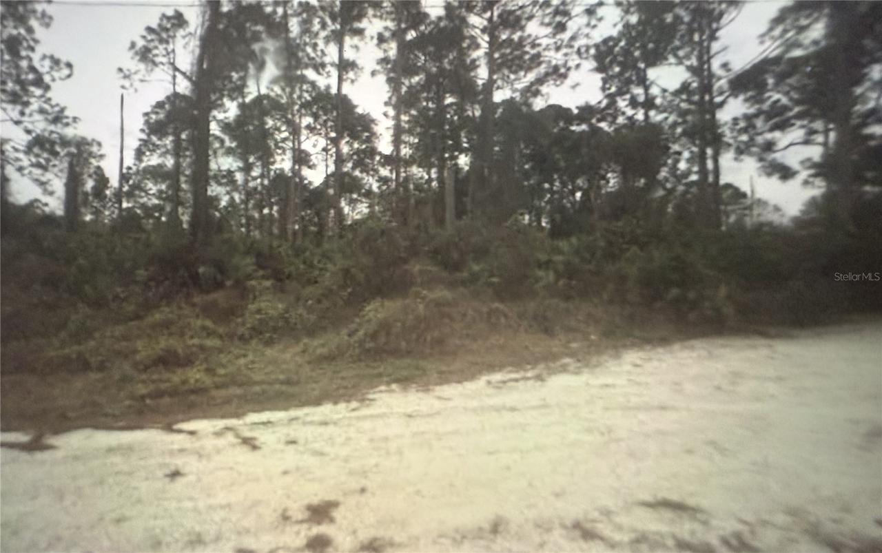 350 Tern Ave., Sebring, FL 33870