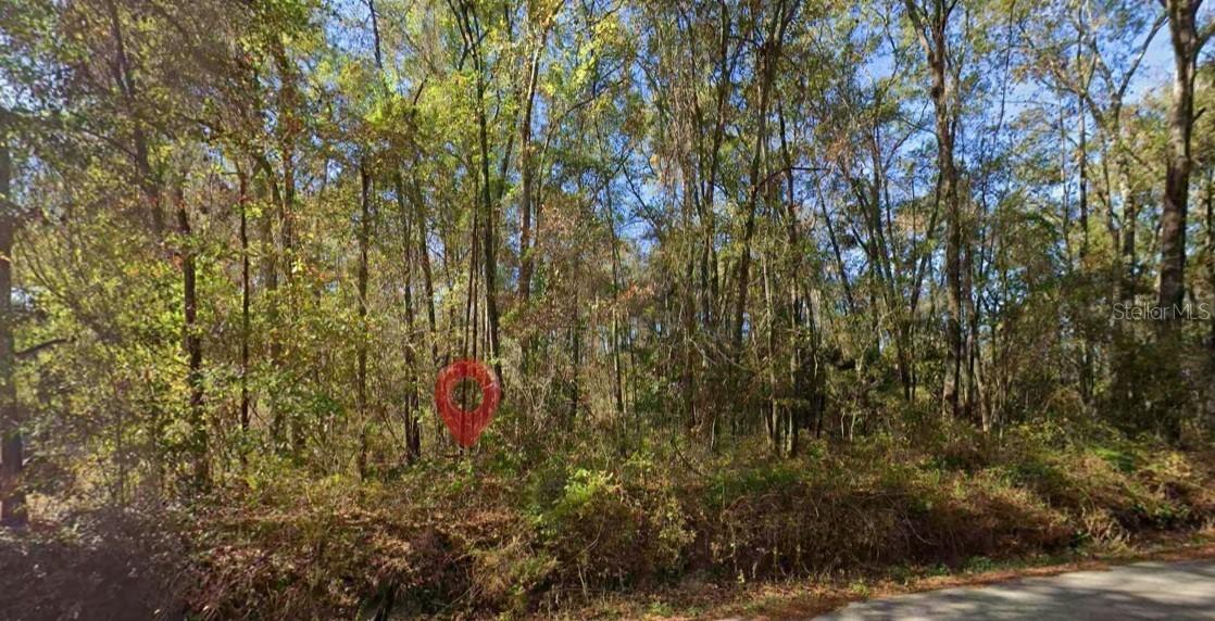 Iamonia Landing Rd., Tallahassee, FL 32312
