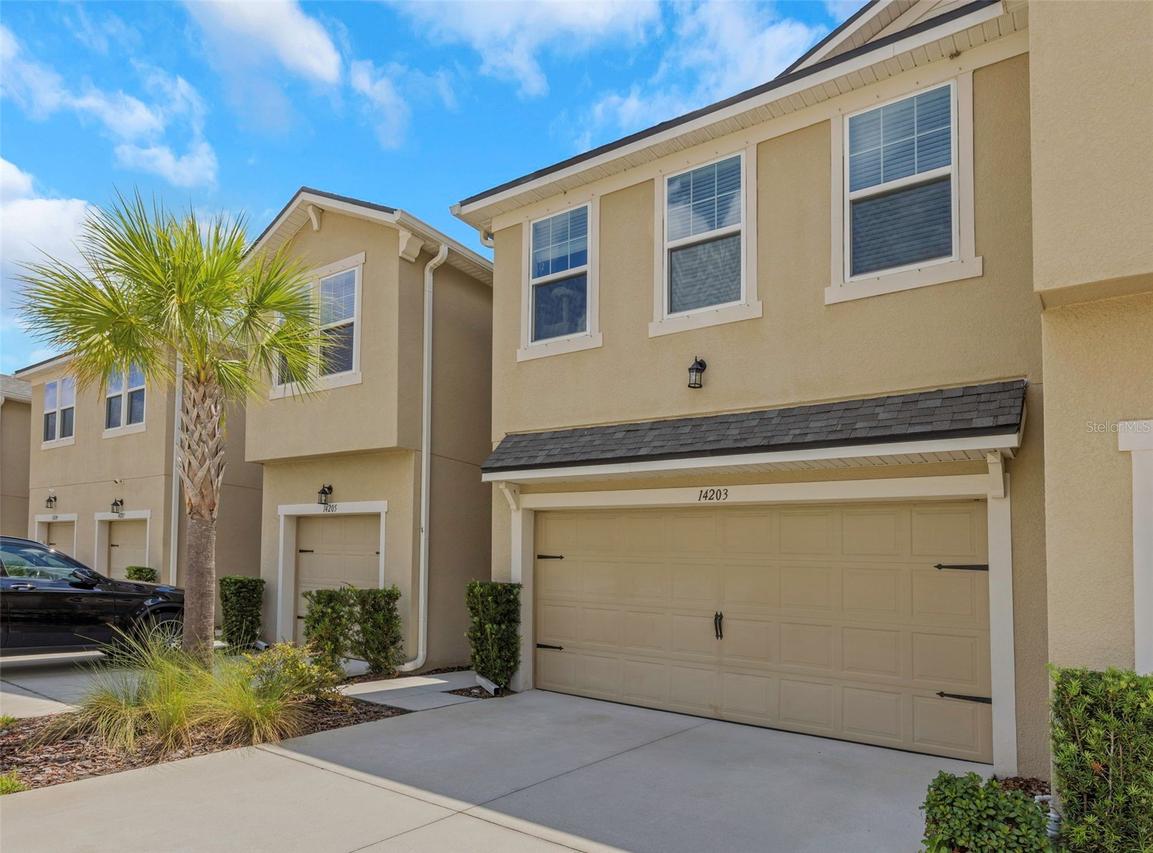 14203 Damselfly Dr., Tampa, FL 33625