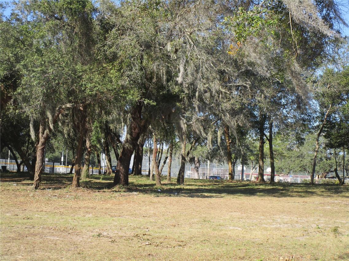 6718 N Rome Ave., Tampa, FL 33604