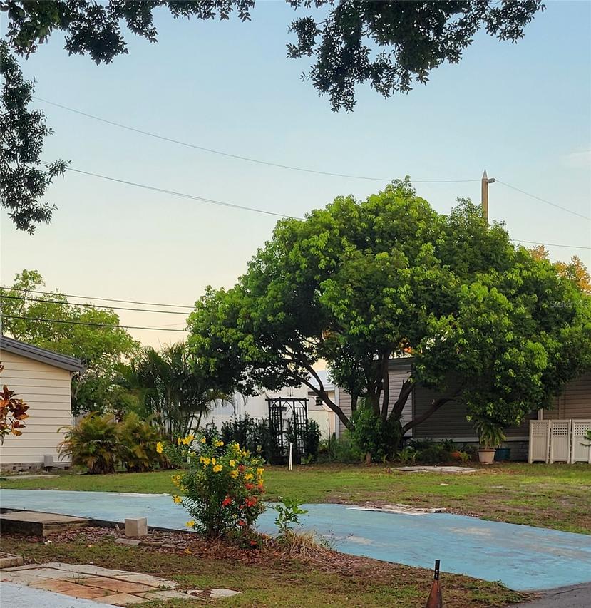 585 Sky Harbor Dr. #126, Clearwater, FL 33759