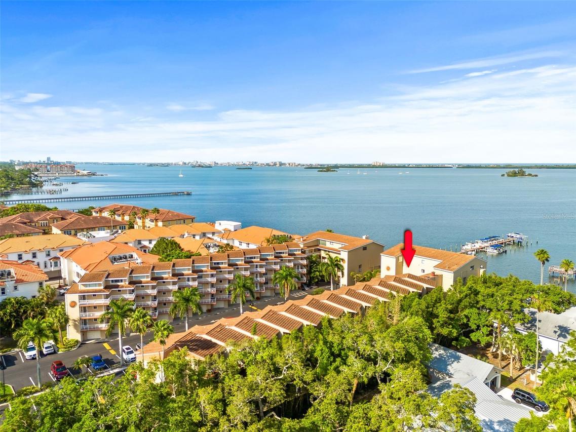 1420 Bayshore Blvd. #206, Dunedin, FL 34698