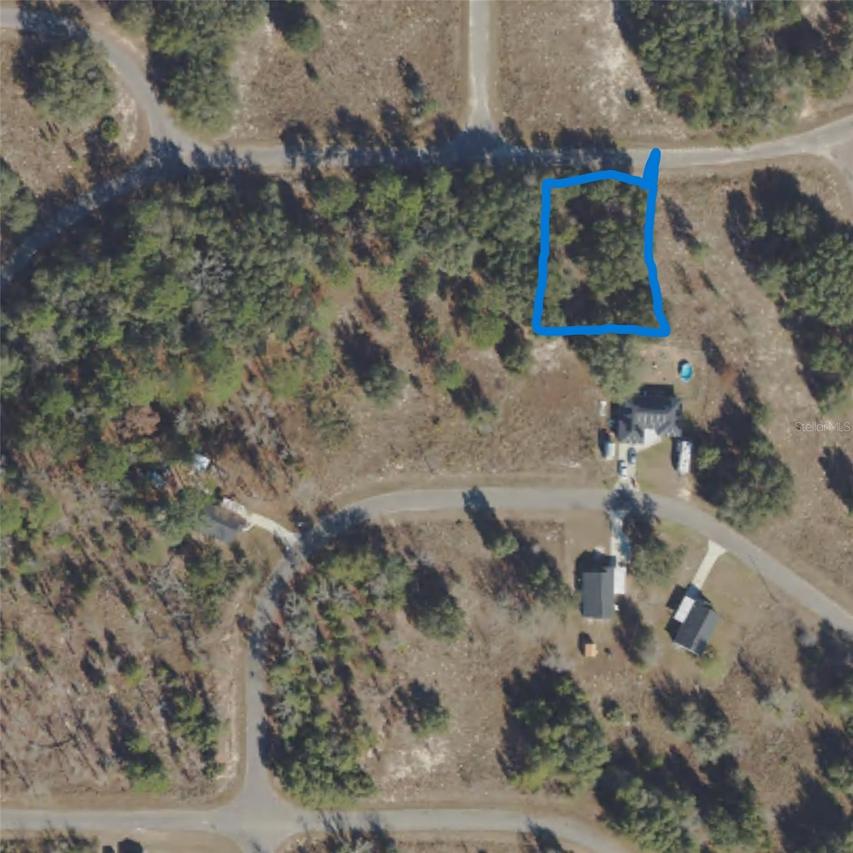 71 Guava Ter., Ocklawaha, FL 32179