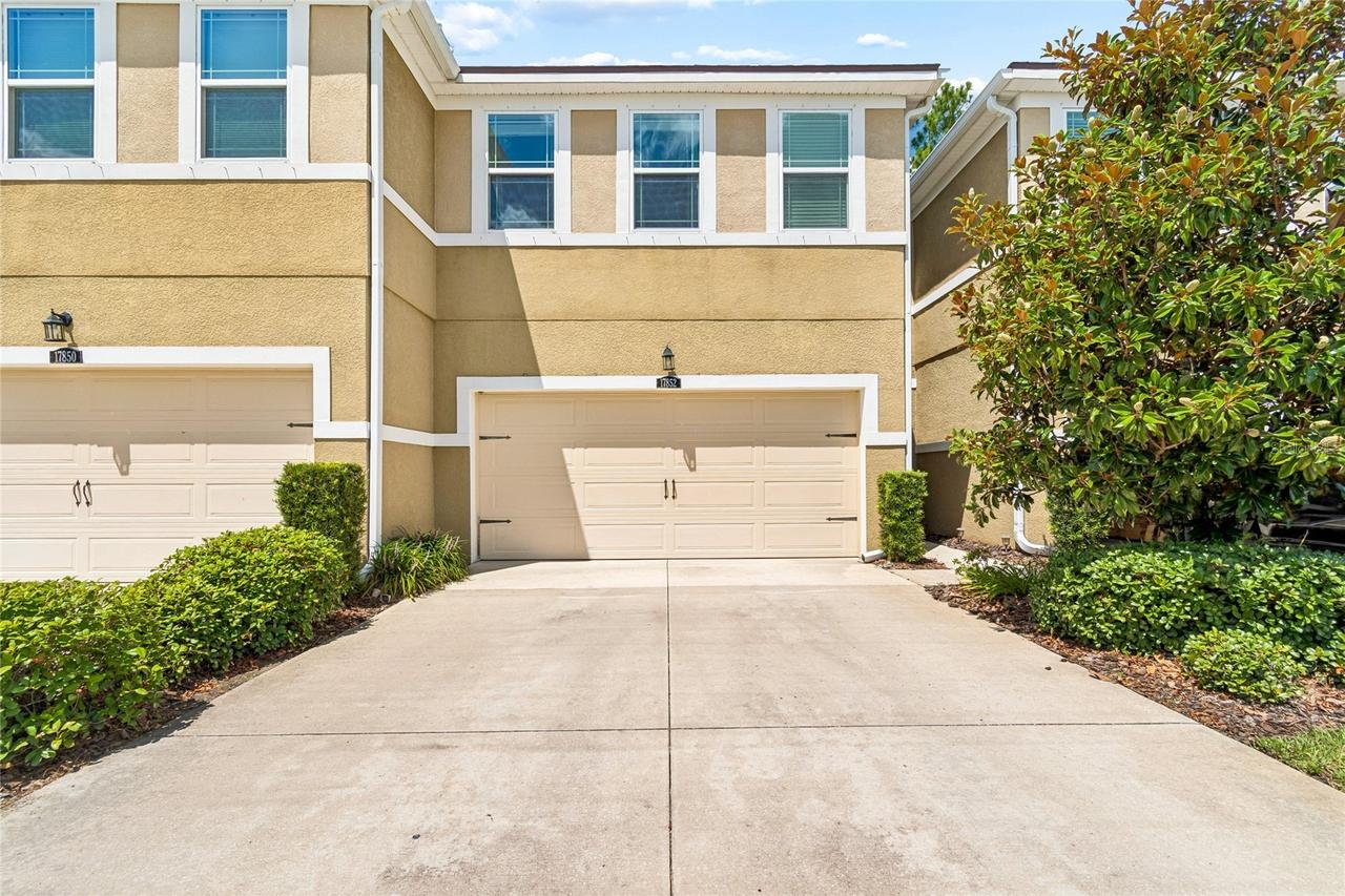 17852 Althea Blue Pl., Lutz, FL 33558