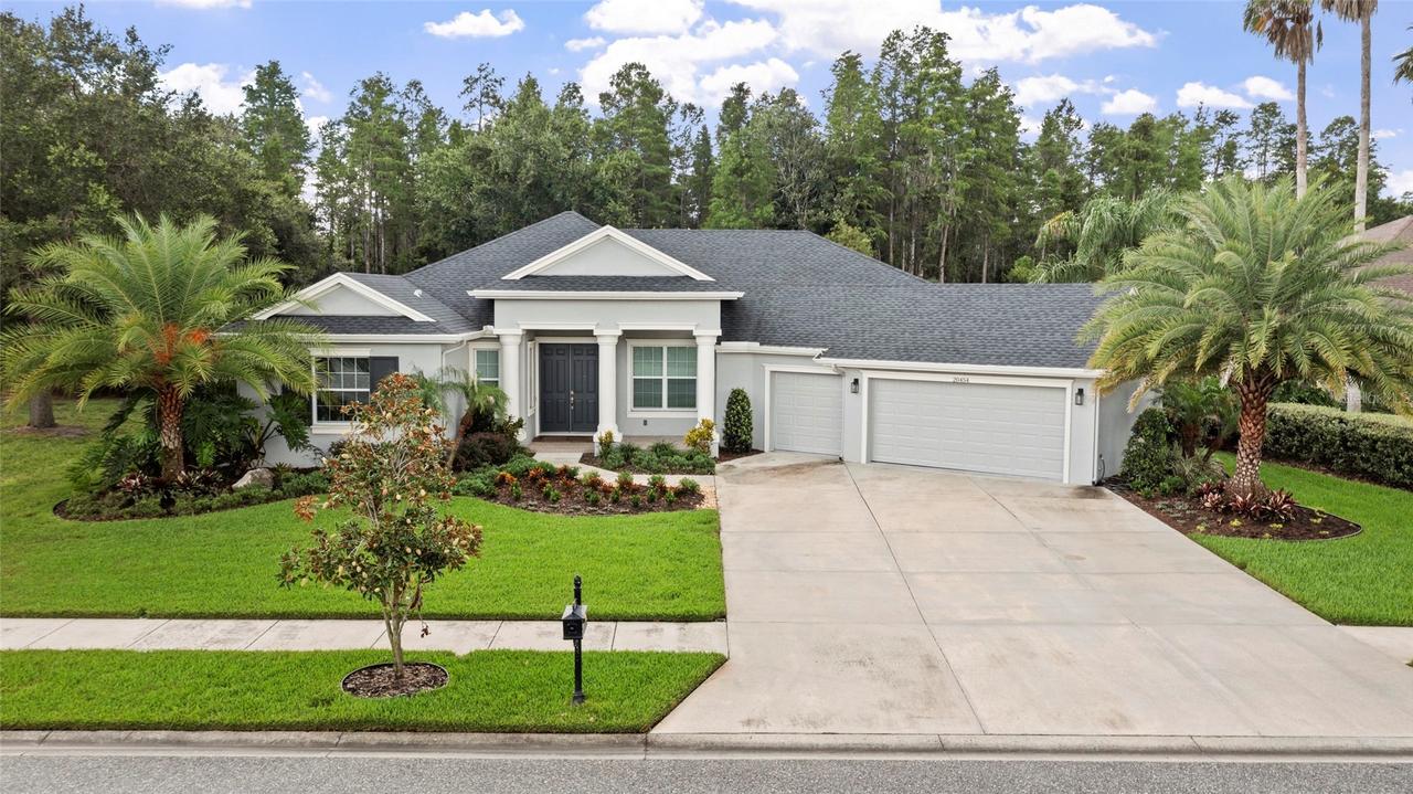 20454 Lace Cascade Rd, Land O Lakes, FL 34637