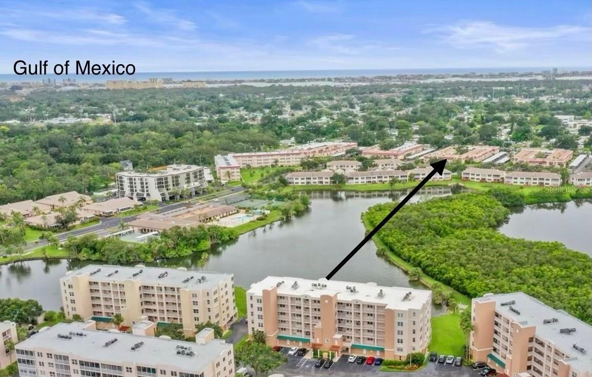 10034 64th Ave. #11, St Petersburg, FL 33708