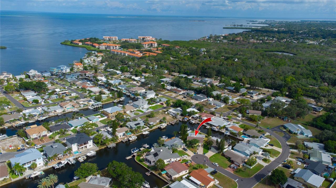 318 Circle Dr., Palm Harbor, FL 34683