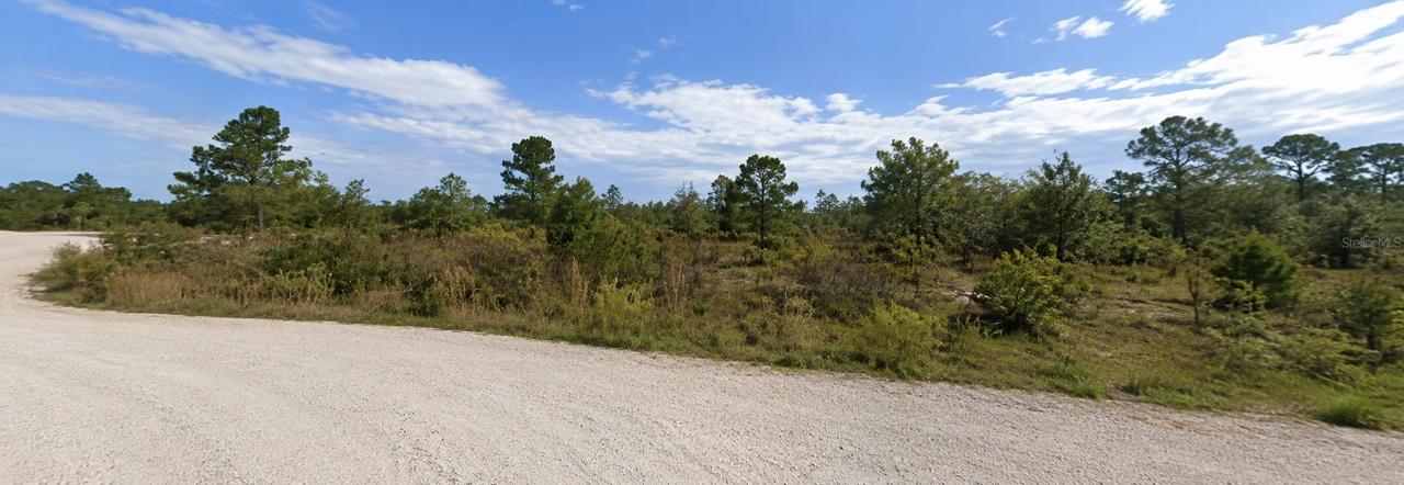 Coral Rock Dr., Webster, FL 33597
