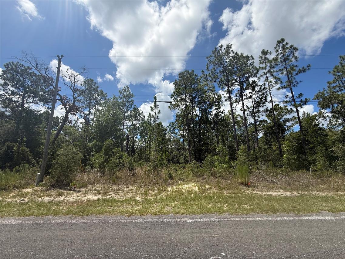 2812 W Edison Pl., Citrus Springs, FL 34433