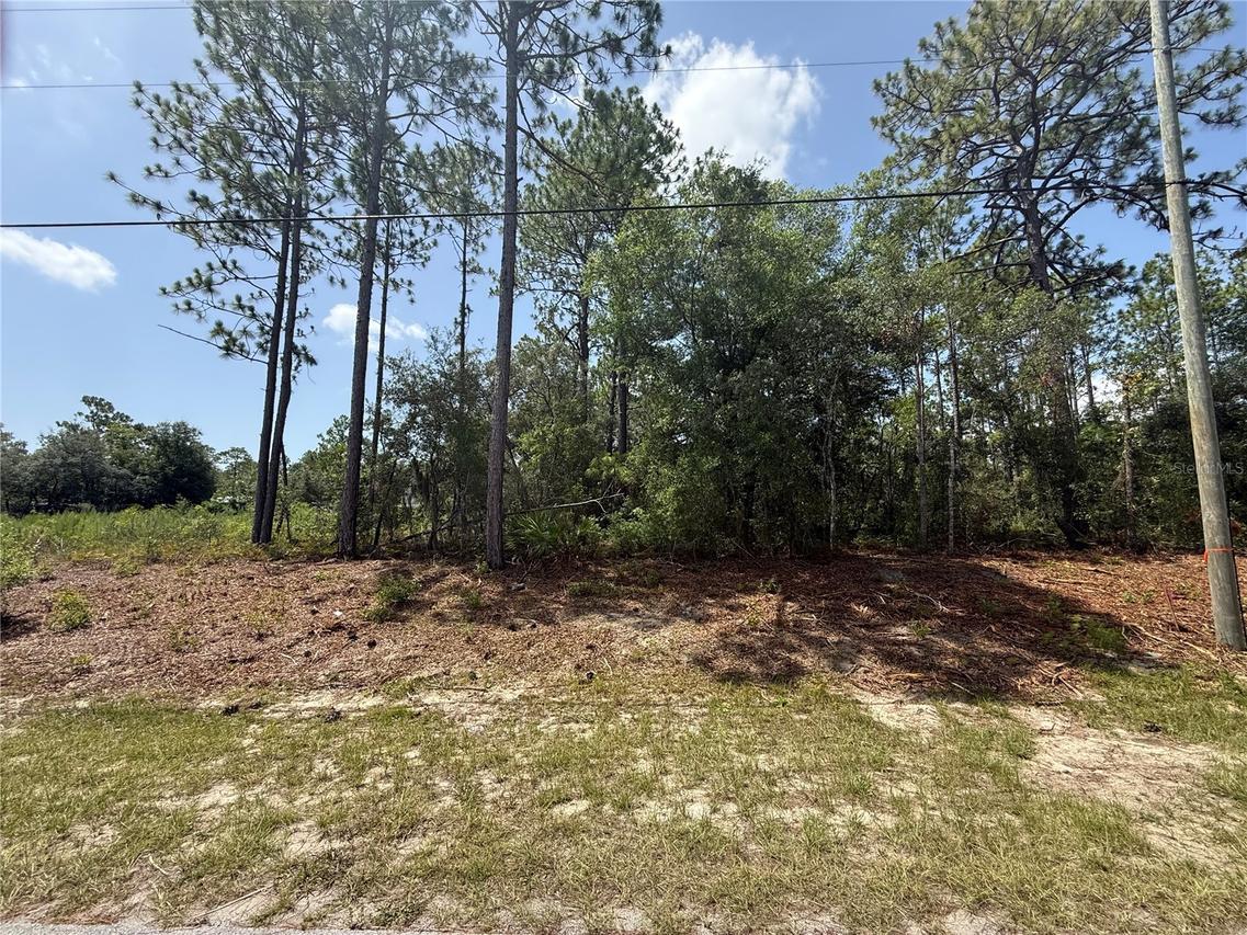 7069 N Santos Dr., Citrus Springs, FL 34434