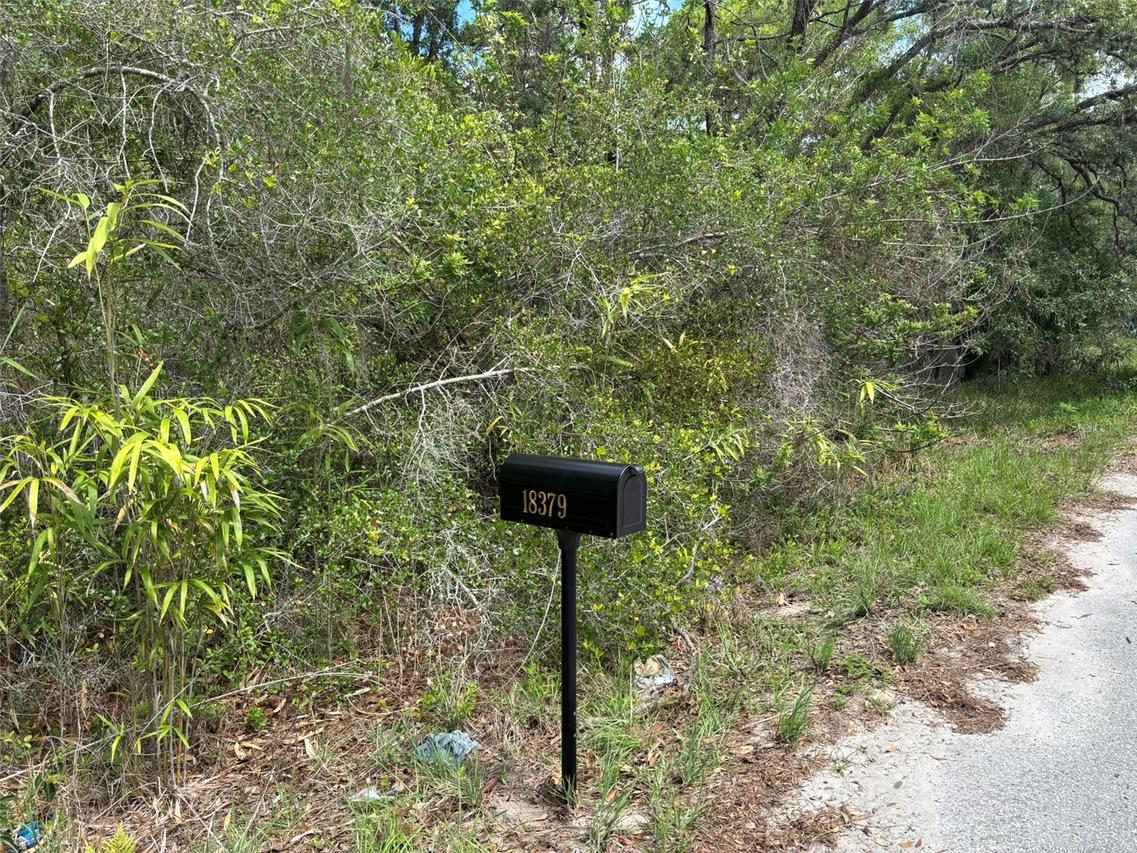18379 Thomas Blvd., Hudson, FL 34667
