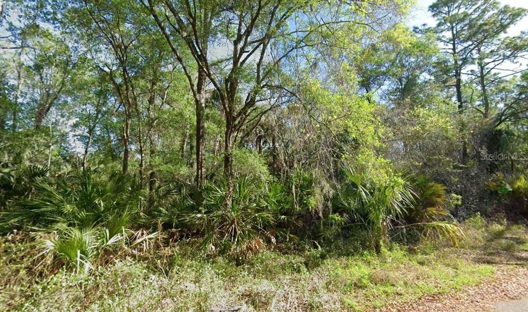 [Address Hidden by Seller], Crystal River, FL 34428