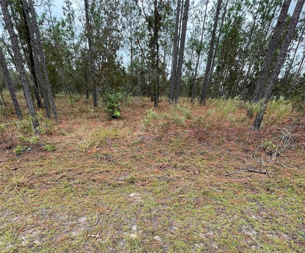 SE 133rd Avenue, Dunnellon, FL 34431