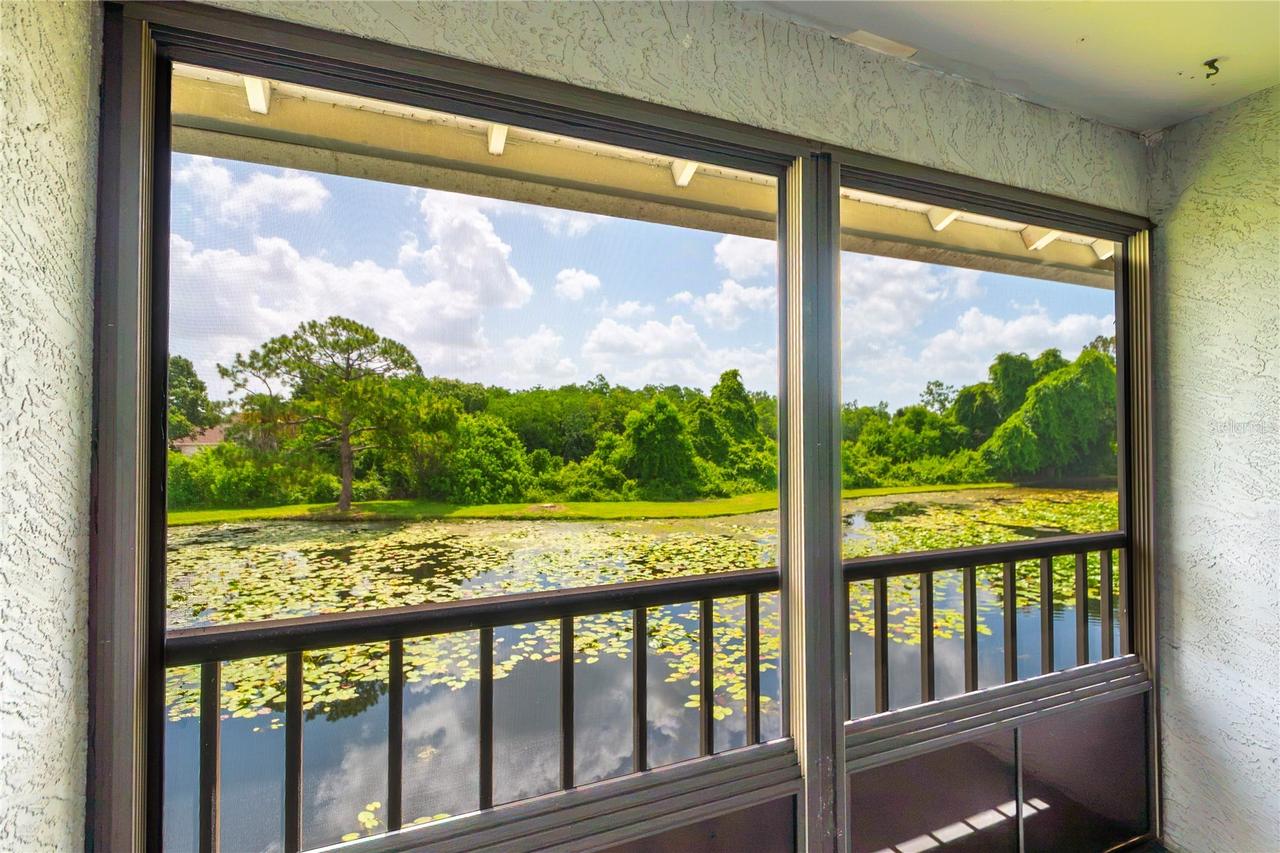 11201 122nd Ave. #234, Largo, FL 33778