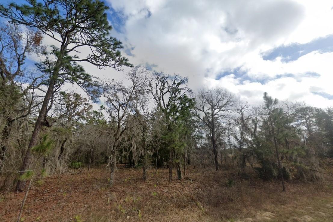 Crider Rd., Weeki Wachee, FL 34614