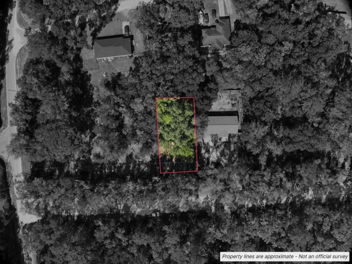 Lot #1 St Patrick Dr., Dunnellon, FL 34432