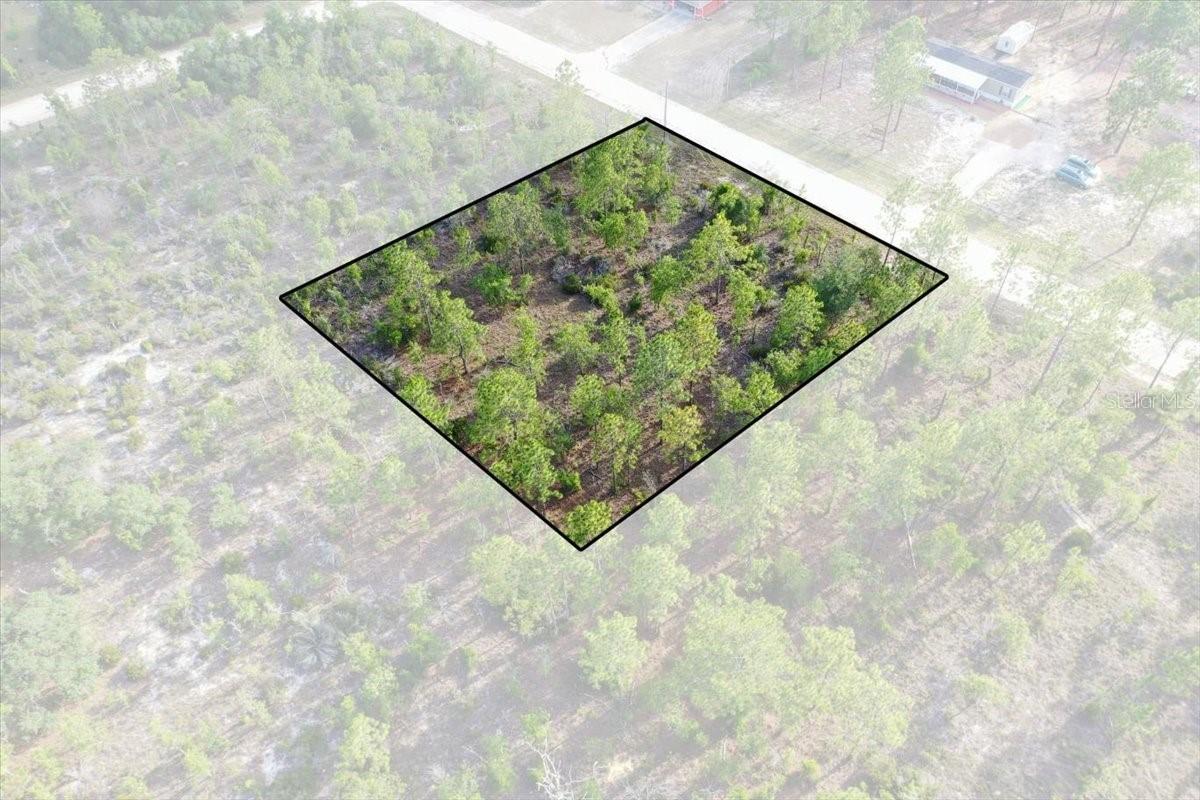 0000 NE 131 Lot 7 Ter., Williston, FL 32696