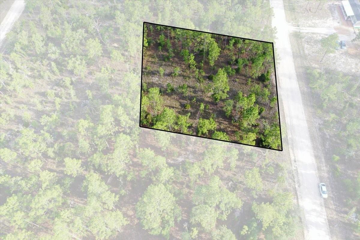 0000 NE 131 Lot 8 Ter., Williston, FL 32696