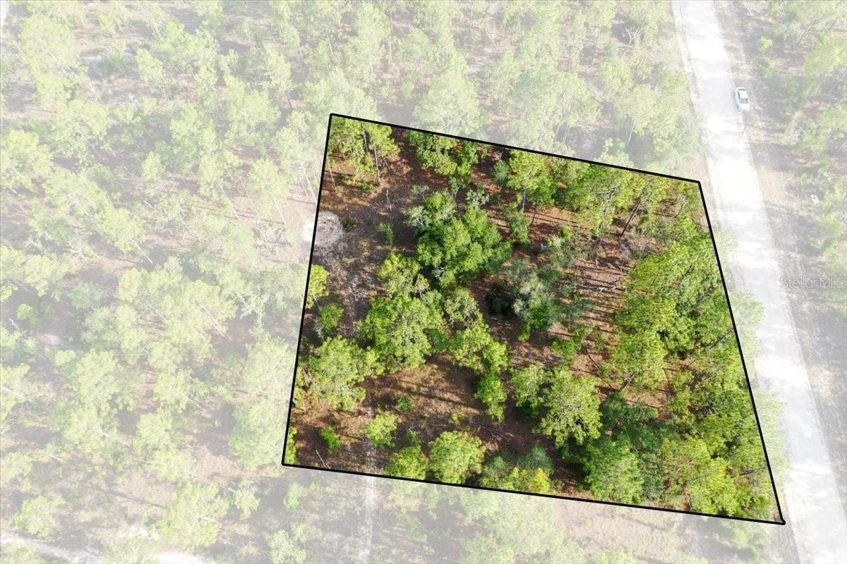 0000 NE 131 Lot 9 Ter., Williston, FL 32696