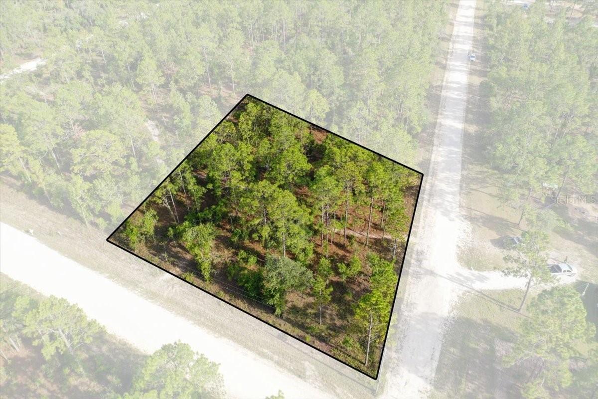 0000 NE 131 Lot 10 Ter., Williston, FL 32696
