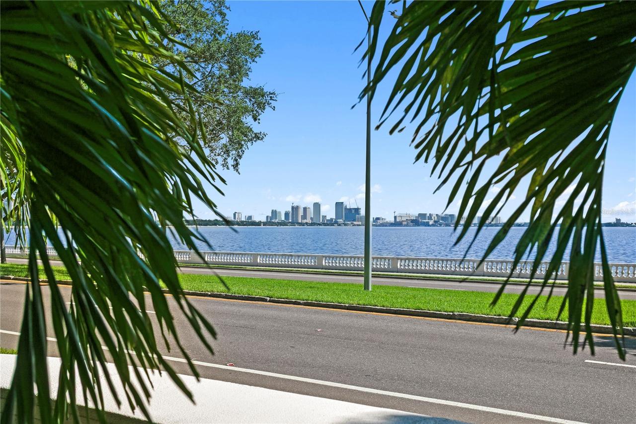 3507 Bayshore Blvd. #102, Tampa, FL 33629