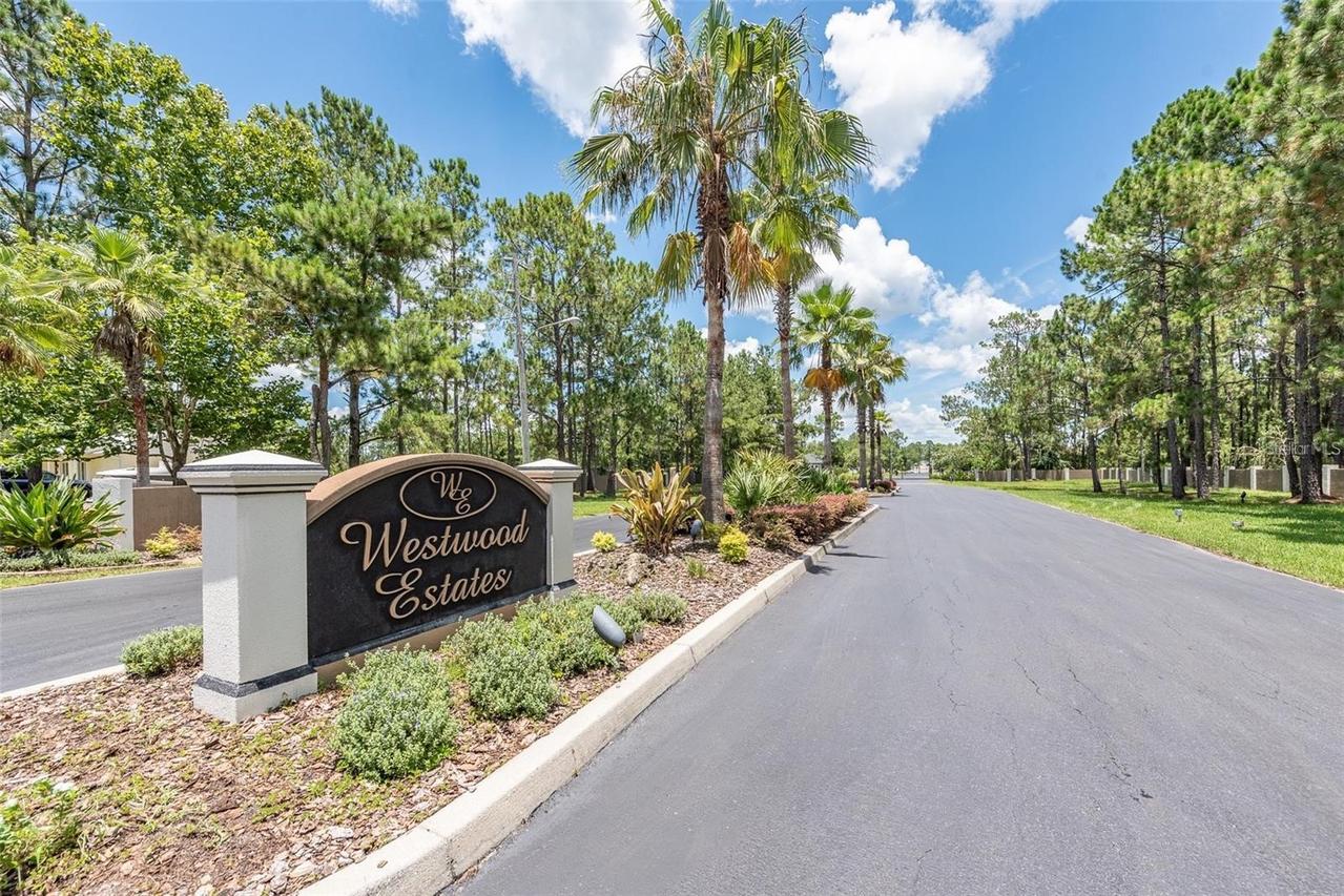 8616 Spring Forest Ln., Wesley Chapel, FL 33544