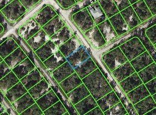 532 Summer Hill Dr., Lake Placid, FL 33852