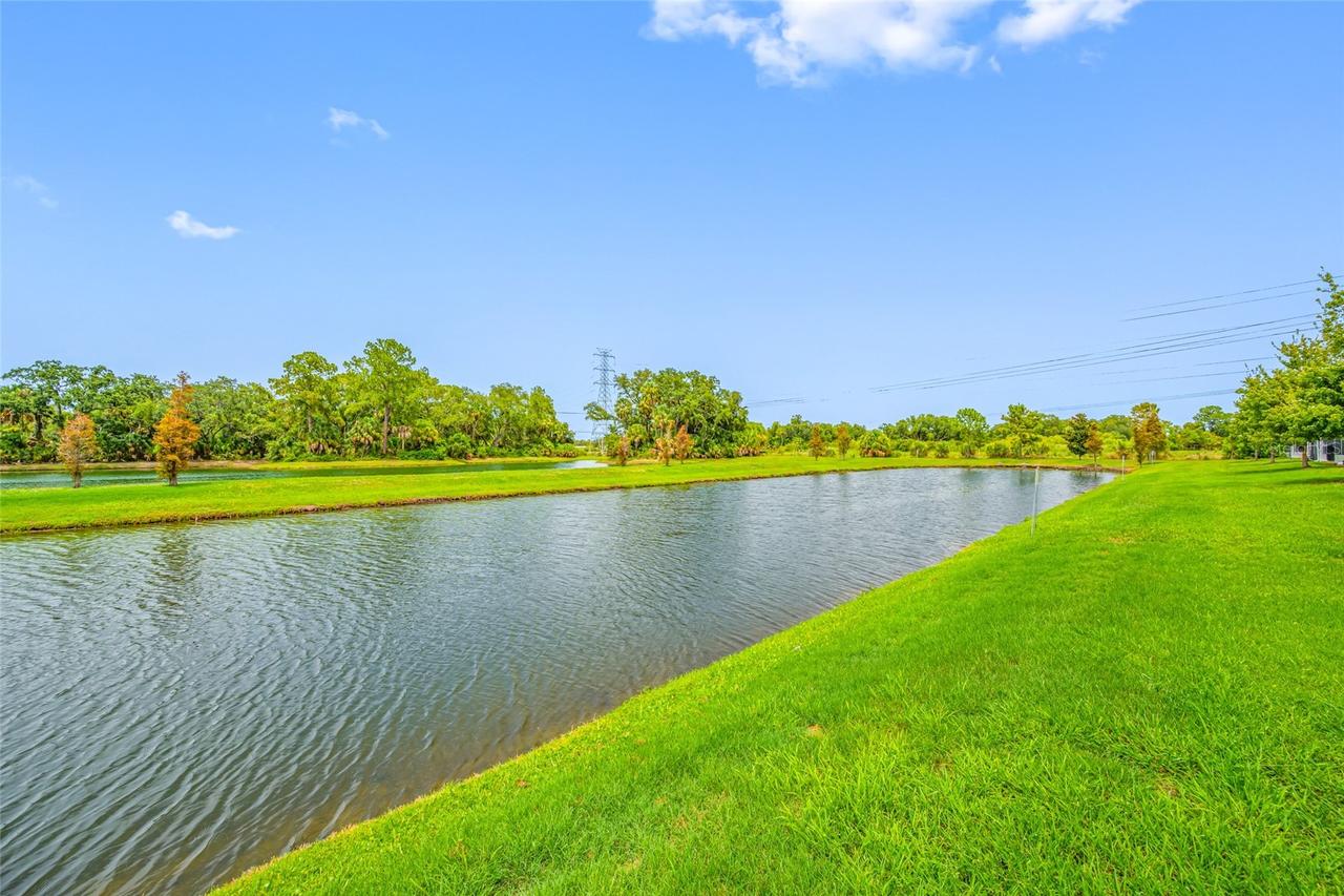 7932 Evergreen Creek Ct., Riverview, FL 33578