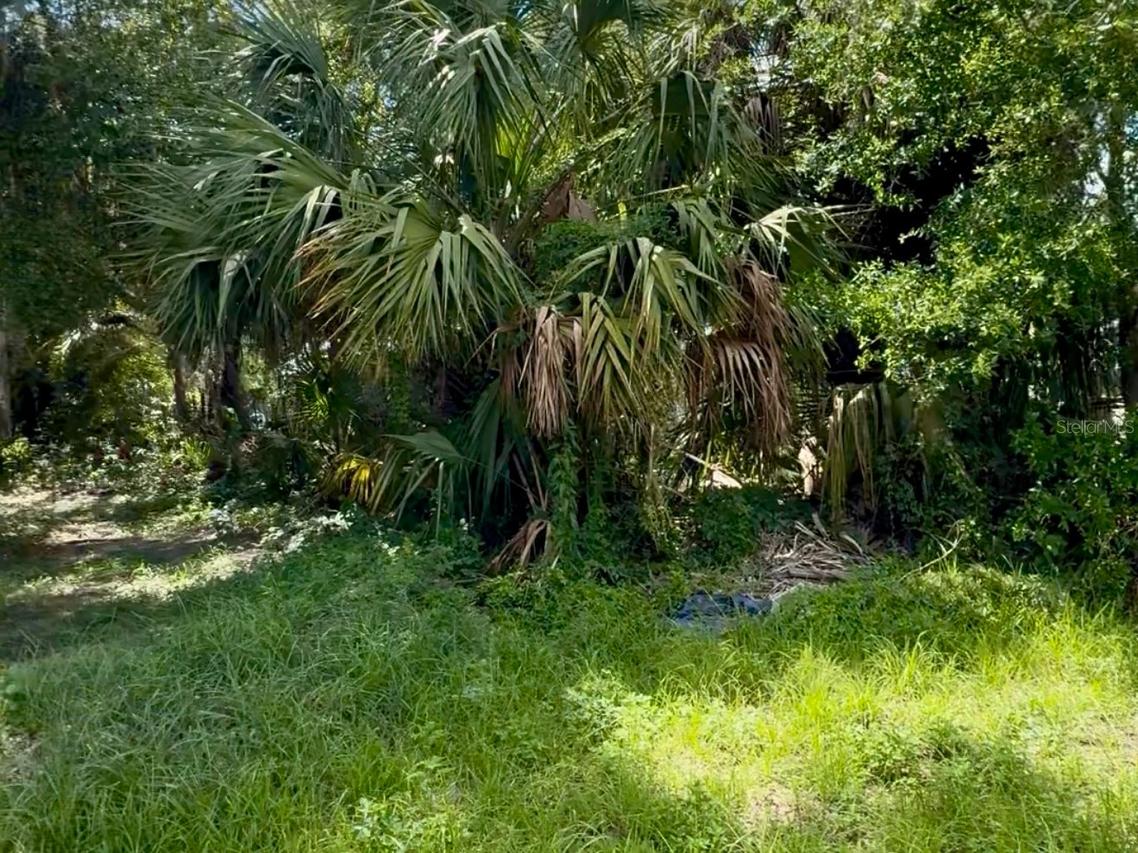 S Franklin St., Plant City, FL 33563