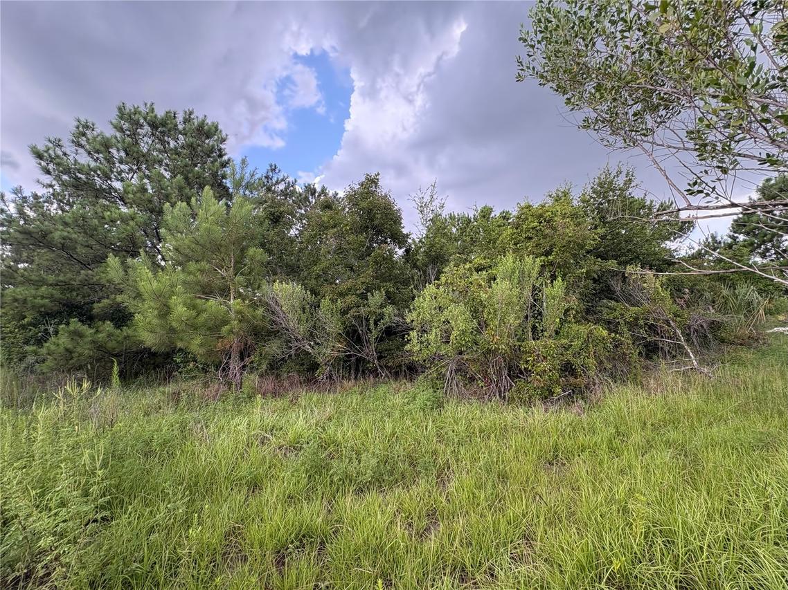 Evening Star, Brooksville, FL 34604