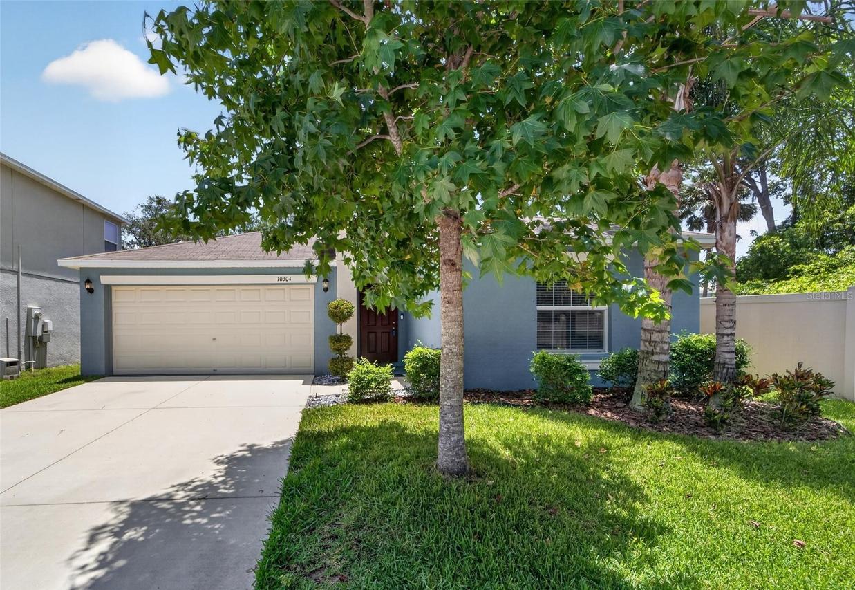 10304 Strawberry Tetra Dr., Riverview, FL 33578