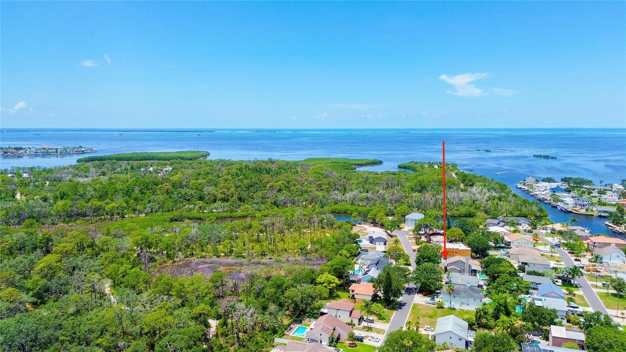 14 Baywood Dr., Palm Harbor, FL 34683