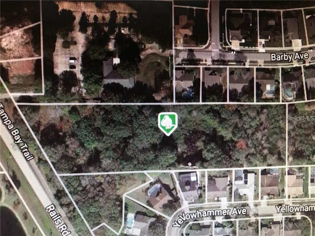 15025 Rails Rd., Odessa, FL 33556