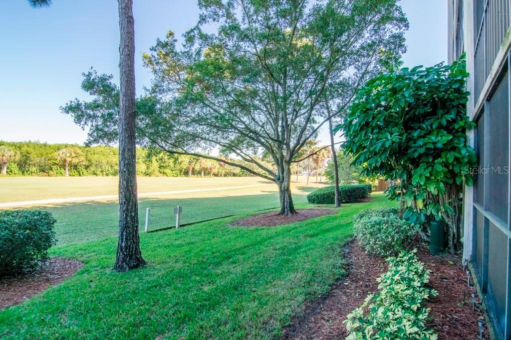 3300 Cove Cay Dr. #1C, Clearwater, FL 33760