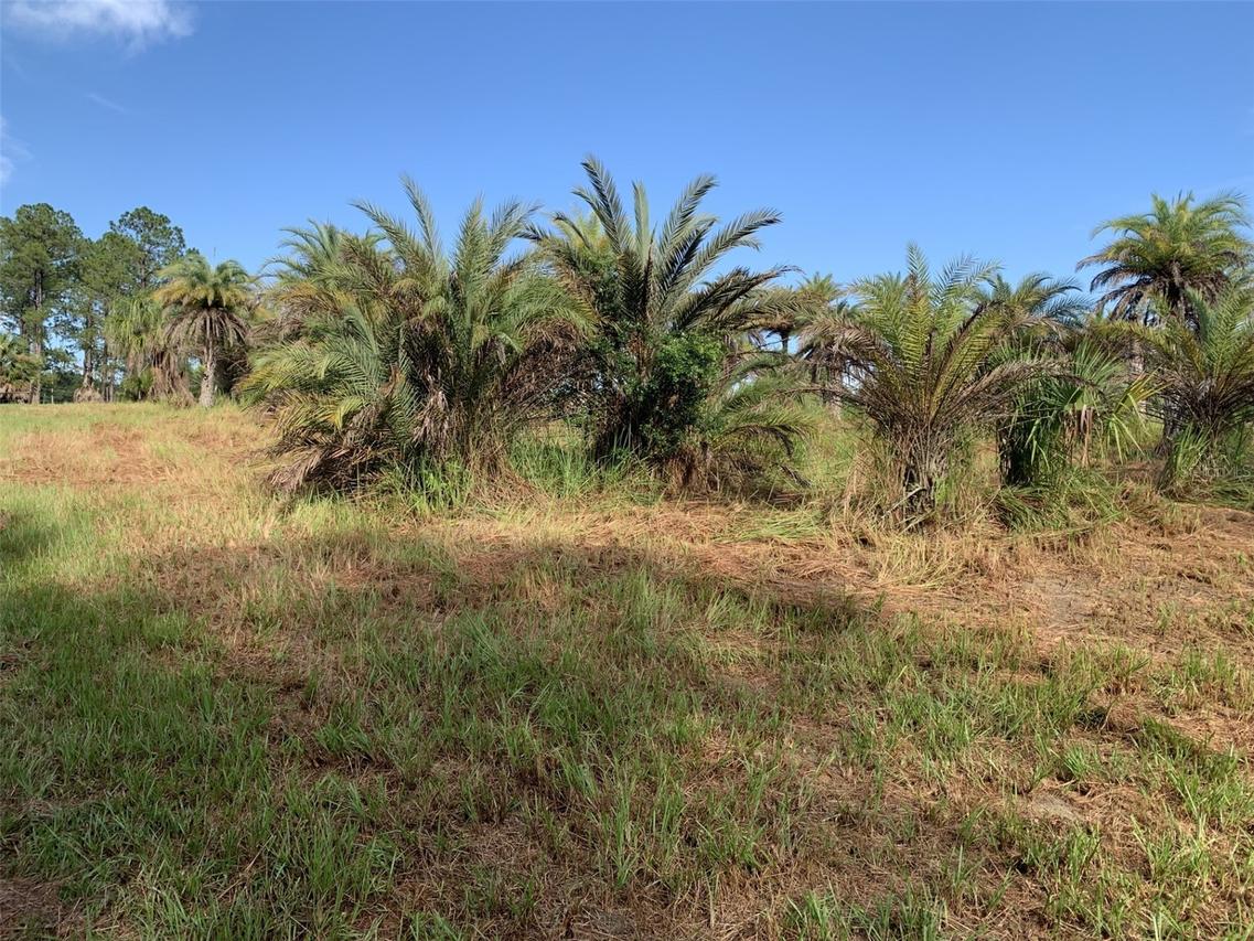 Dan Brown Hill Rd. #Lot 3, Brooksville, FL 34602