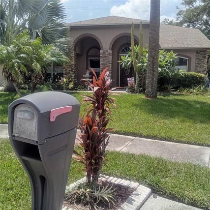 New Construction Homes For Sale This Week in Citrus Park: July 22nd to July 28th