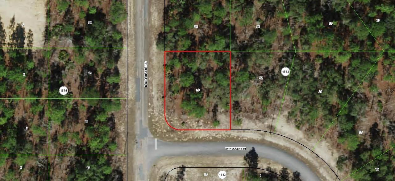 3299 W Higgins Pl., Citrus Springs, FL 34433