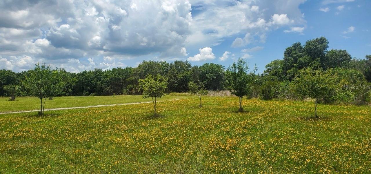 15908 W Lake Dr., Wimauma, FL 33598